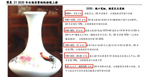何以解忧 白酒消费邀您一醉——传统韵味与现代生活的交融